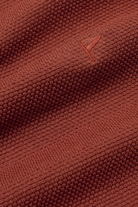 Campbell campbell plato polo km